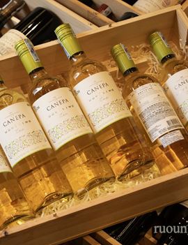 Canepa Novísimo Sauvignon Blanc 2019