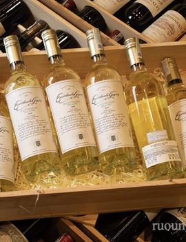 Escorihuela Gascón Sauvignon Blanc 2023