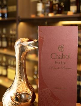 Chabot Extra thiên nga vàng