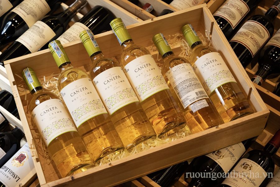 Canepa Novísimo Sauvignon Blanc 2019