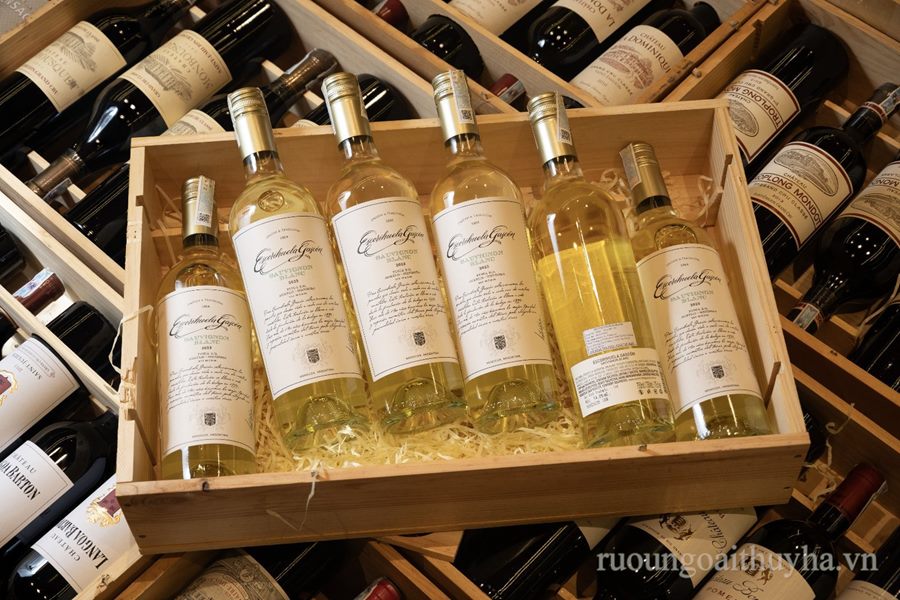 Escorihuela Gascón Sauvignon Blanc 2023