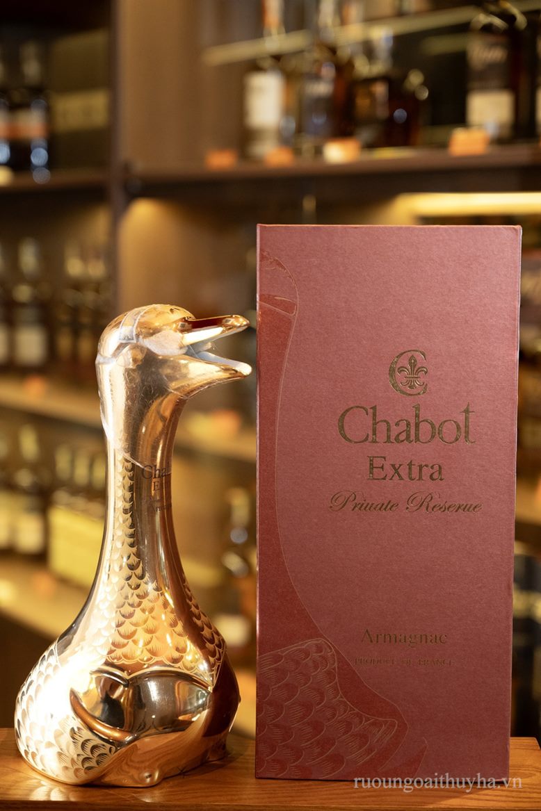Chabot Extra thiên nga vàng