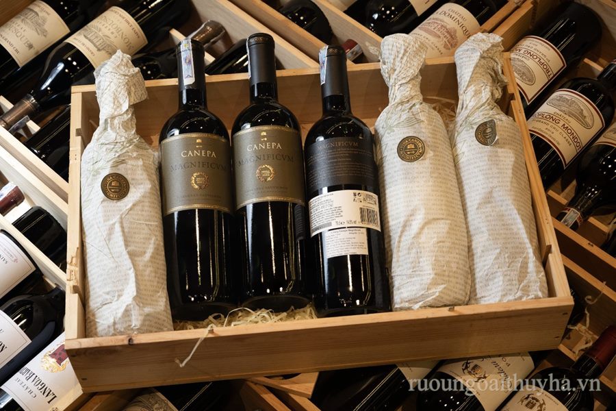 Canepa Magnificvm Cabernet Sauvignon 2012